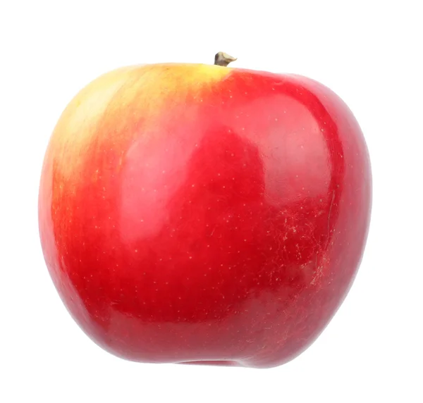 Фруктовый яблок — стоковое фото