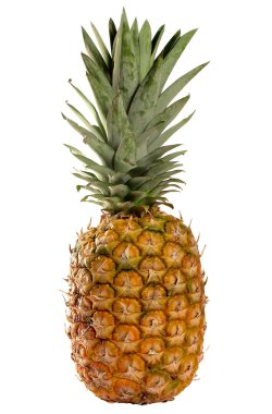 Pineapple clipart