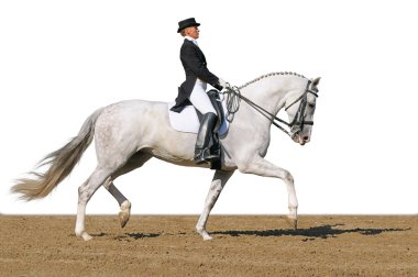 Advanced Dressage test clipart