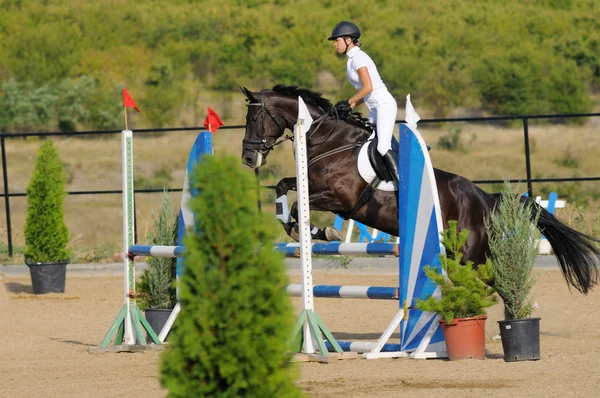 Rider in the jumping show — Stock Photo, Image