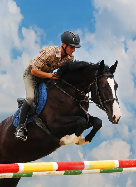 Jezdec na koni, havraní — Stock fotografie