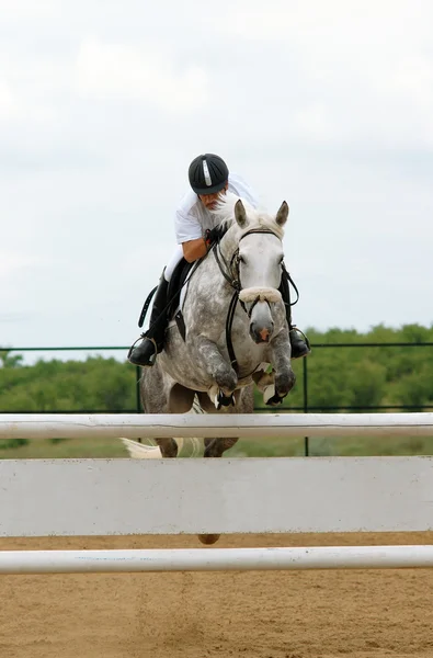 Rider in jumping show — Stock Photo, Image