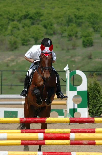 Cavaleiro no show de salto — Fotografia de Stock
