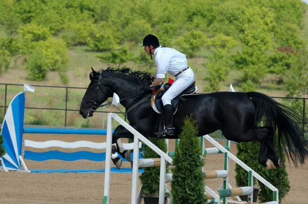 Rider in the jumping show — Stock Photo, Image
