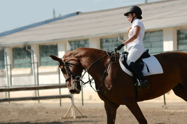 Rider op rode paard in de springen show — Stockfoto