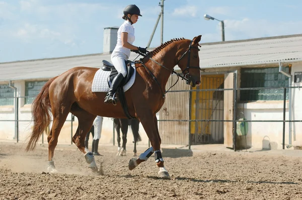 Rider op rode paard in de springen show — Stockfoto