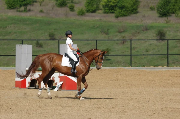Всадник на красной лошади в прыжковом шоу — стоковое фото