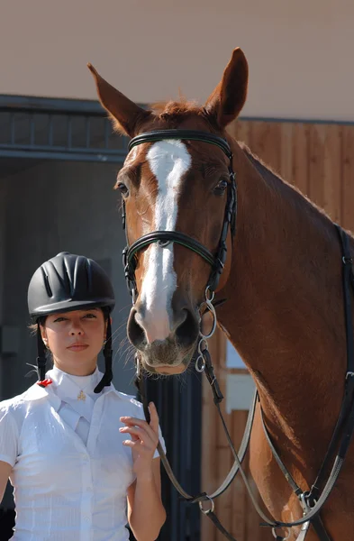 Mooi meisje en haar paard — Stockfoto