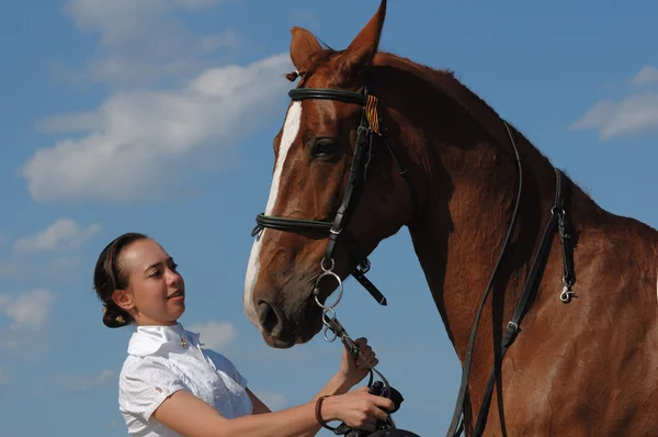 Güzel kız ve onun atı — Stok fotoğraf