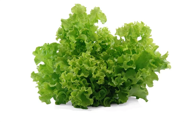 stock image Fresh salad on white background