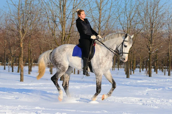 Meisje op witte dressuurpaard in de winter — Stockfoto