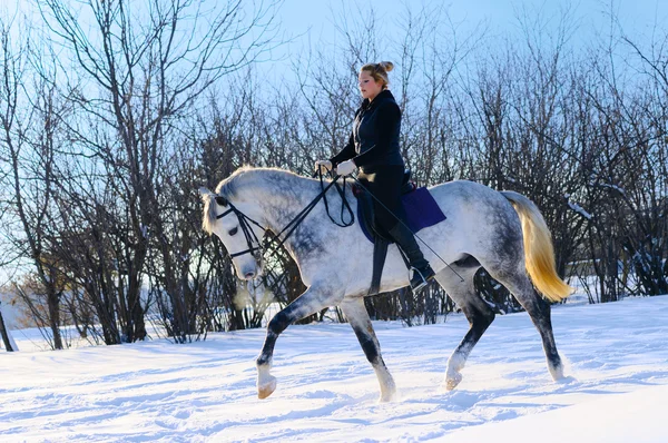 Dívka na bílém drezura koní v zimě — Stock fotografie