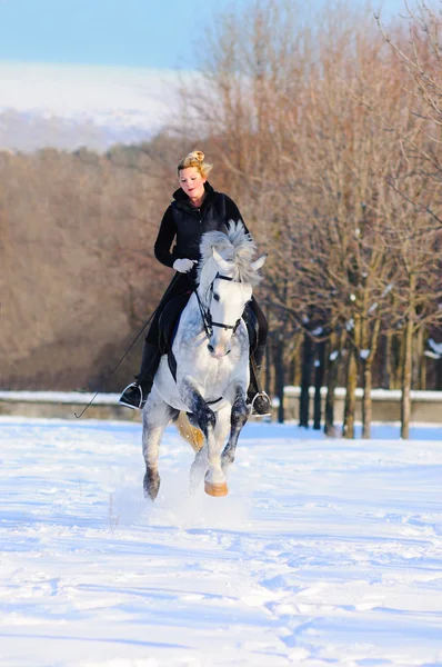 Menina no cavalo curativo branco no inverno — Fotografia de Stock