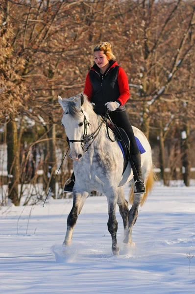 Dívka na bílém drezura koní v zimě f — Stock fotografie