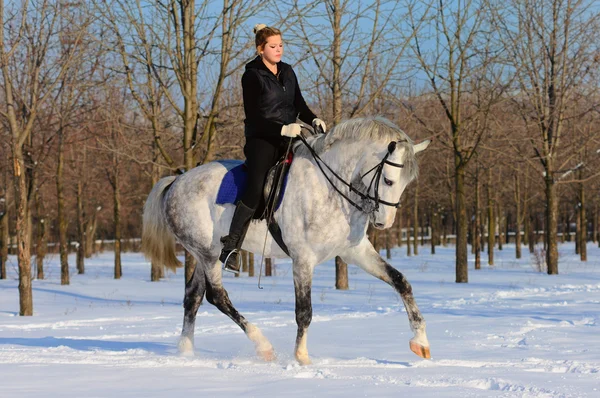 Chica en caballo de doma blanca en invierno — Foto de Stock