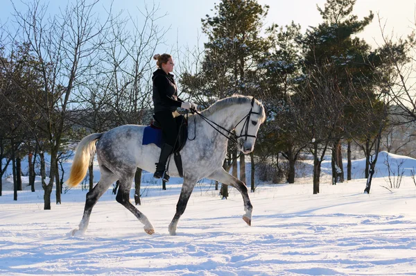 Meisje op witte dressuurpaard in winter f — Stockfoto