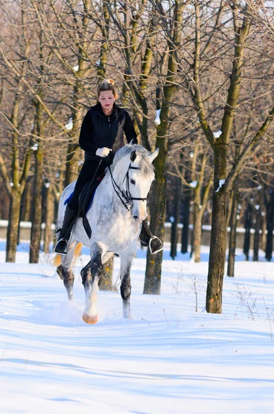 在冬季 f 中的白色盛装舞步马的女孩 — 图库照片