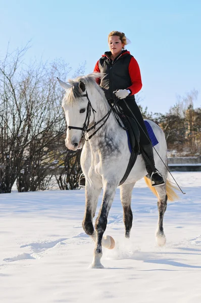Девушка на белой выездной лошади зимой f — стоковое фото