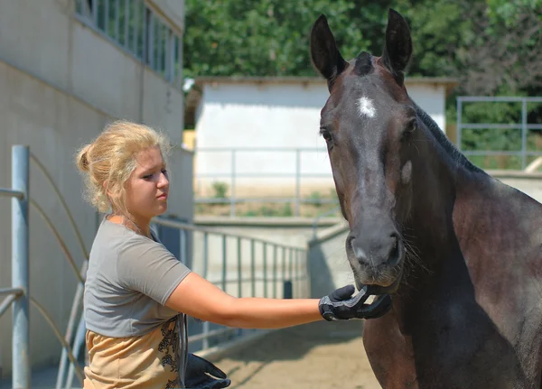 Krásná dívka a kůň — Stock fotografie