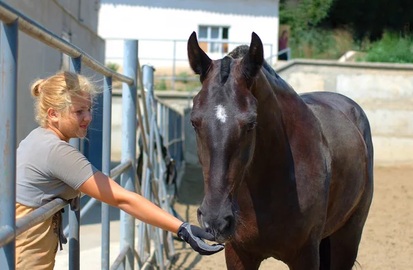 Красивая девушка и лошадь — стоковое фото