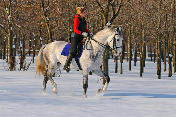 Mädchen auf weißem Dressurpferd im Winter — Stockfoto