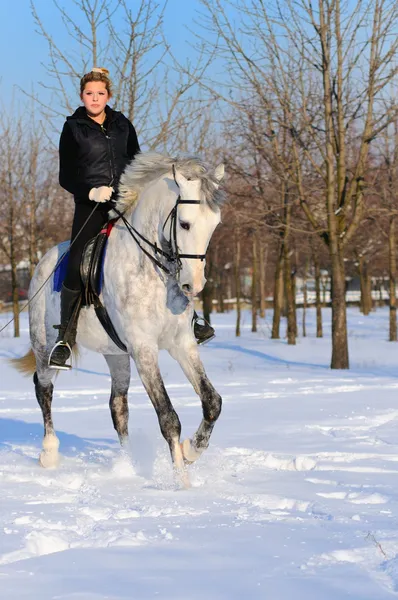 Dívka na bílém drezura koní v zimě — Stock fotografie
