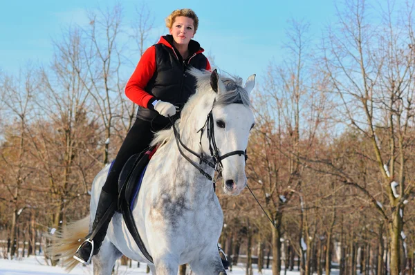 Kışın beyaz terbiye atlı kız — Stok fotoğraf