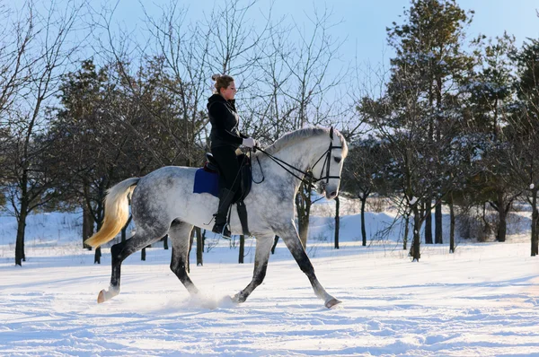 Girl on white dressage horse in winter — Stock Photo, Image