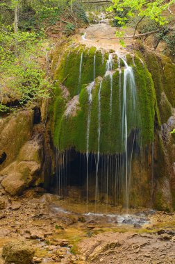 Waterfall in the mountain in spring clipart