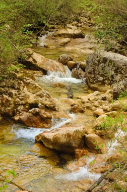 Small river in the mountain in spring clipart