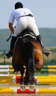 Rider in the jumping show clipart