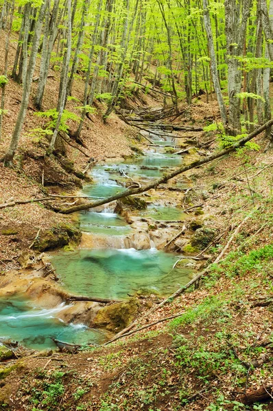 Pequeño río en la montaña en primavera —  Fotos de Stock