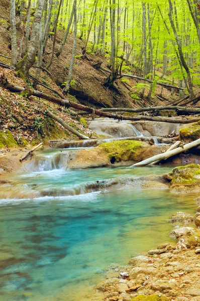 Pequeño río en la montaña en primavera —  Fotos de Stock