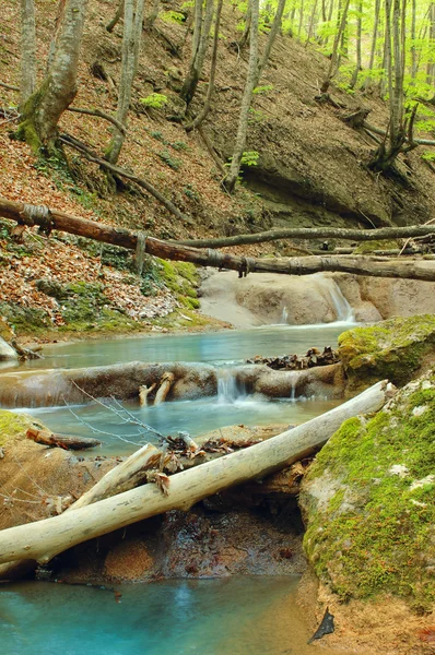 Small river in the mountain in spring — Stock Photo, Image