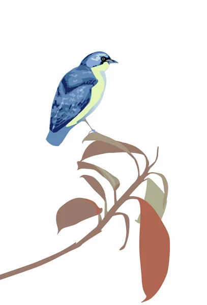 Γαλάζιο πουλί — Διανυσματικό Αρχείο