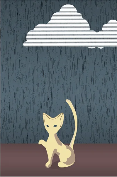 Kediler yağmurda