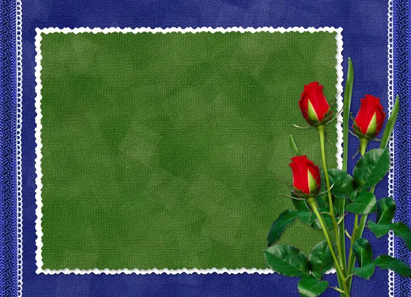 Zelená karta s rudou růži na Tmavěmodrá — Stock fotografie