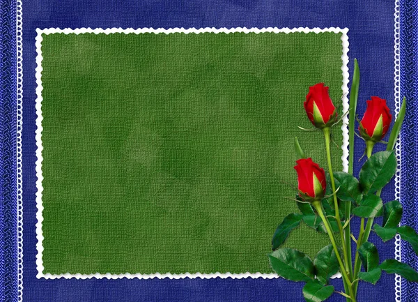 Green card with red rose on the darkblue — Stock Photo, Image