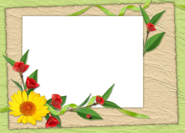 Bílý rámeček s květinami na zelené ba — Stock fotografie