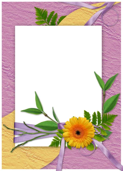 Fehér kerettel, virág lila bac — Stock Fotó