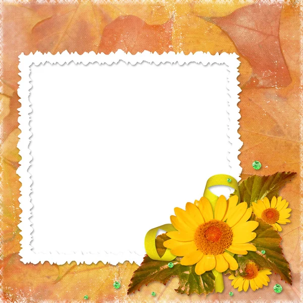 White frame with flowers and leaves on a — Stock Photo, Image