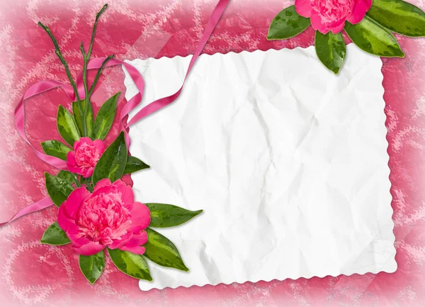 Karta s růží na růžovém pozadí — Stock fotografie