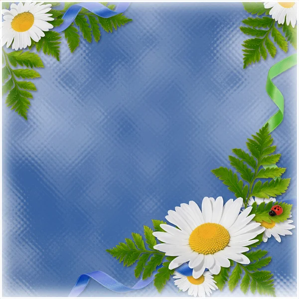 Kaart met de bloemen op de blauwe backgr — Stockfoto
