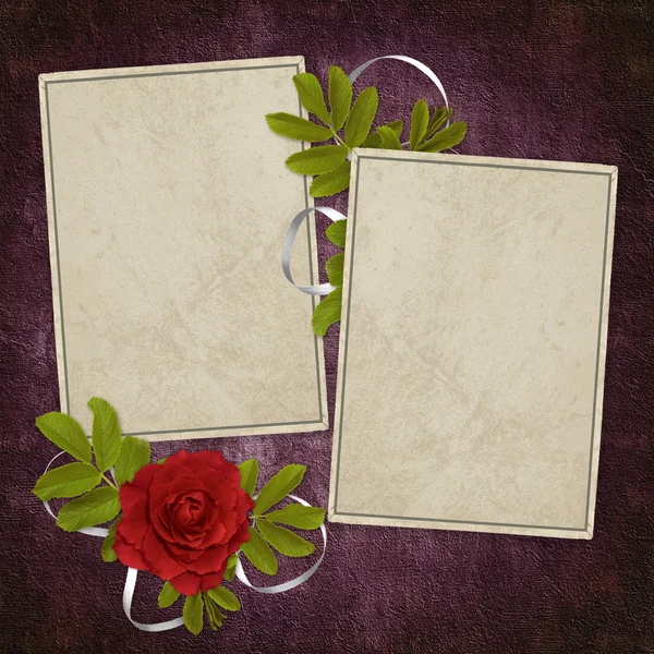 Carte de rose sur le backgr abstrait . — Photo
