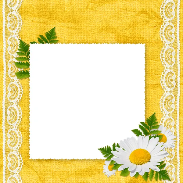 Bílý rámeček s heřmánkem, list — Stock fotografie