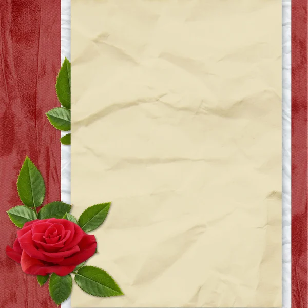 Carta schiacciata con rosa e foglie — Foto Stock