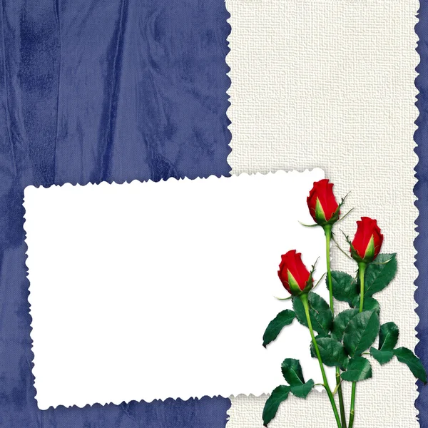 Cornice con rose sul retro blu — Foto Stock