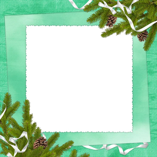 White frame with branches and ribbon — Stock Photo, Image