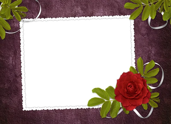 Белая рамка с розой и лентами — стоковое фото