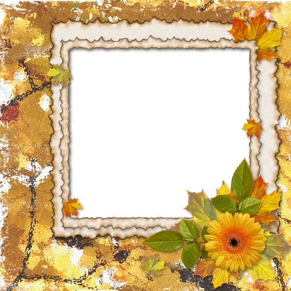 Frame with leaves and flower — Stock Photo, Image